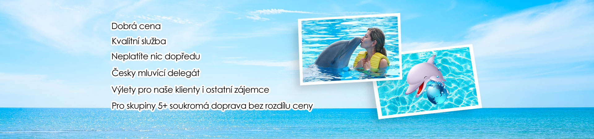 Delfíní show – Tureckotour.cz