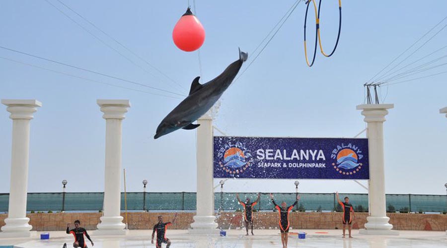 Delfinárium z Alanye