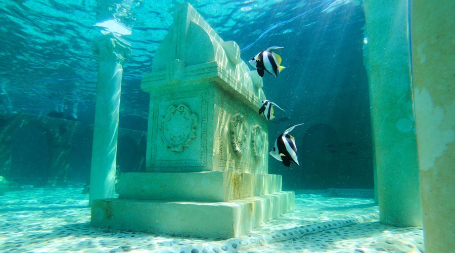 Mořský park Sealanya - Tropický útes