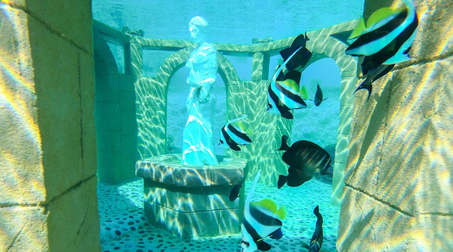 Mořský park Sealanya - Tropický útes