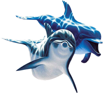 fauna