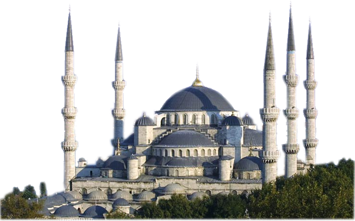 Mešity