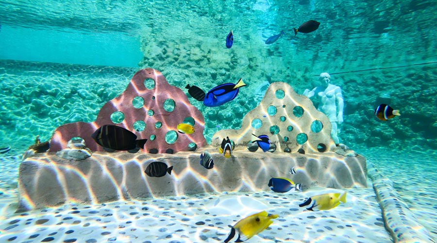 Mořský park Sealanya - Tropický útes