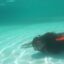 Mořský park Sealanya s delfíní show - Rejnočí bazén