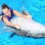 Mořský park Sealanya s delfíní show - Delfinárium