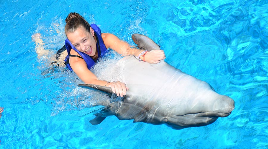 Mořský park Sealanya s delfíní show - Delfinárium